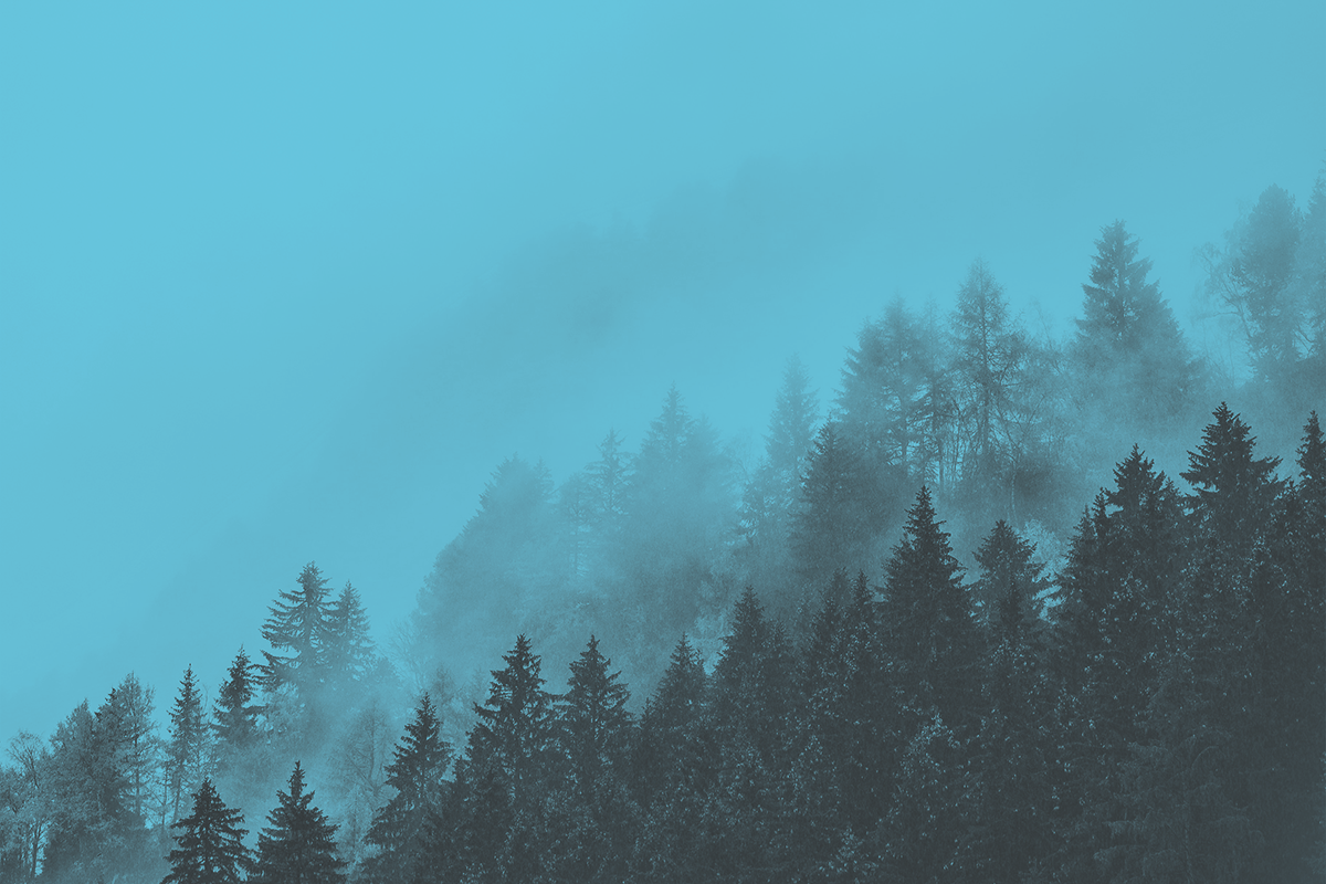 Freedom To Adventure: <br> Hiking Edition 2022