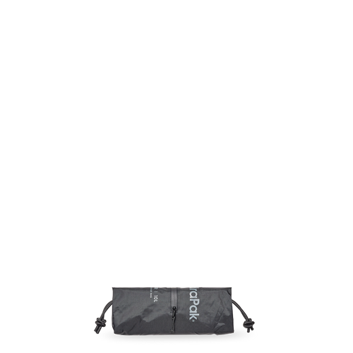 Pioneer 10L