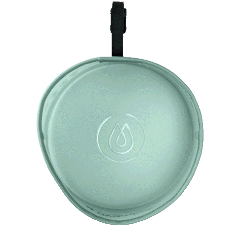 Rover Dog Bowl