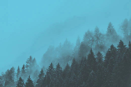 Freedom To Adventure - Fall Favorites 2023