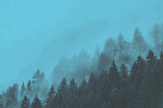 Freedom To Adventure - Get Outside this February!
