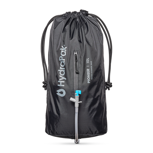 Pioneer 10L
